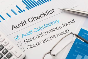 Auditing Services